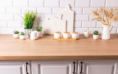 beautiful-modern-kitchen-countertop and plants